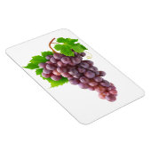 赤ぶどう マグネット (右側)