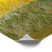 赤または緑のトラクター退職ポスター ポスター (角)