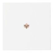 赤みがかったオレンジ、オレンジ色 フォトキューブ (右)