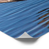 赤みを帯びたサギ ポスター (角)