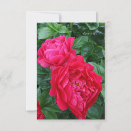 赤みを帯びたピンク色の牡丹 ノートカード