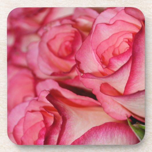 赤みを帯びた白いバラ コースター (正面)