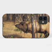 赤みを帯びた茶色のヘラジカ Cervus elaphus Case-Mate iPhoneケース (裏面(横))