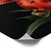 赤ゆり花アートプリントポスター ポスター (角)