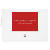 赤ゆり花クローズアップノートカード (裏面横)