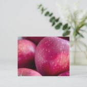 赤りんごのクローズアップ ポストカード (スタンド正面)