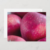 赤りんごのクローズアップ ポストカード (正面/裏面)
