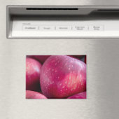 赤りんごのクローズアップ マグネット (インサイチュ (食洗機))