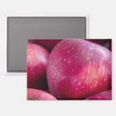 赤りんごのクローズアップ マグネット (正面/裏面)