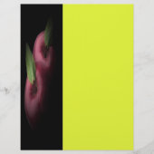 赤りんごチラシ チラシ (正面)