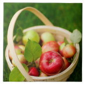 赤りんご入り タイル (正面)