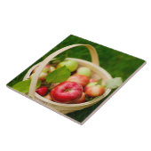 赤りんご入り タイル (側面)