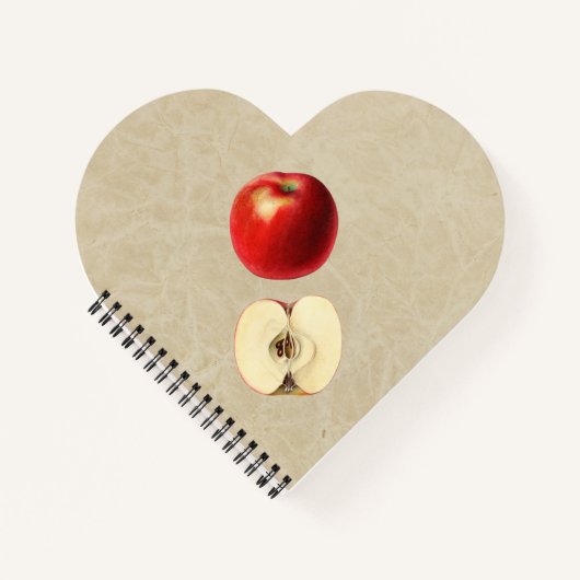赤りんご半 ノートブック (正面)