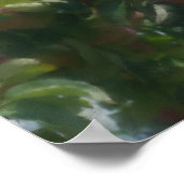 赤りんご木の写真絵画の ポスター (角)