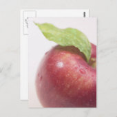 赤りんご緑葉 ポストカード (正面/裏面)