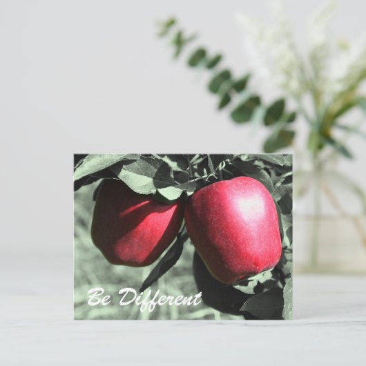 赤りんご違うは感動的葉書 ポストカード (スタンド正面)