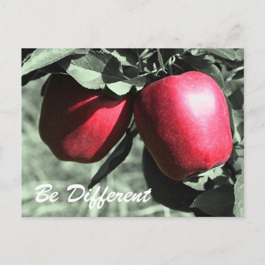 赤りんご違うは感動的葉書 ポストカード (正面)