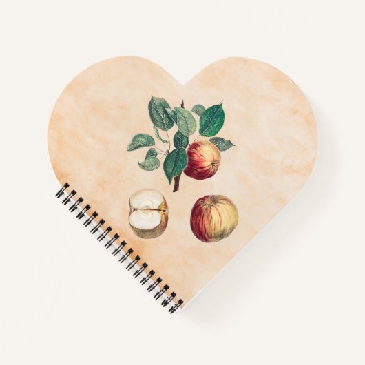 赤りんご離れと ノートブック (正面)