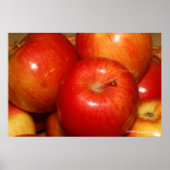 赤りんご ポスター (正面)