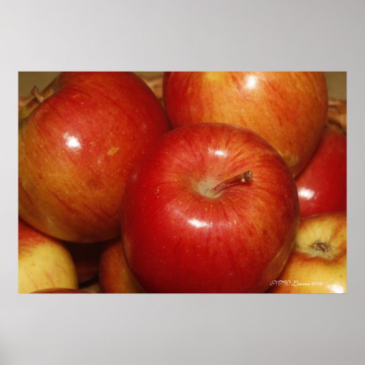 赤りんご ポスター (正面)