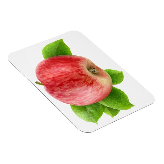 赤りんご マグネット (右側)