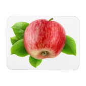 赤りんご マグネット (横)
