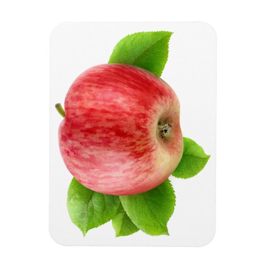 赤りんご マグネット (縦)