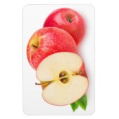 赤りんご マグネット (縦)