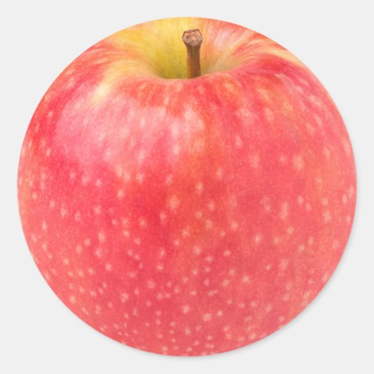 赤りんご ラウンドシール (正面)