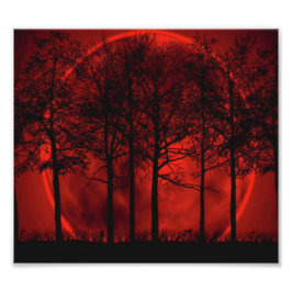 赤を焼いている… フォトプリント           