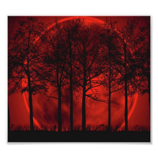 赤を焼いている… フォトプリント            (正面)