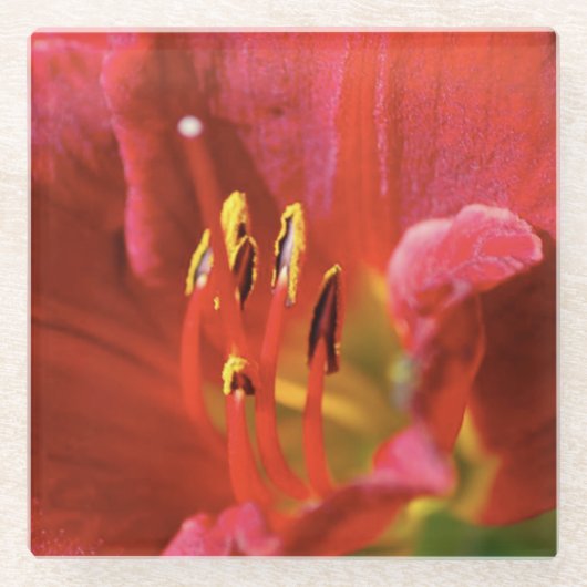 赤を表示 ガラスコースター (正面)