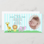 赤ん坊の動物の誕生のお知らせフォトカード 案内状 (正面/裏面)