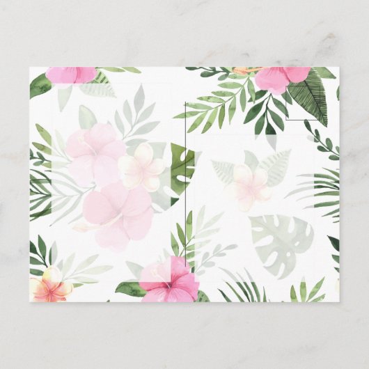 赤ん生まれたばかりの坊の告知-熱帯の花 案内ポストカード (裏面)