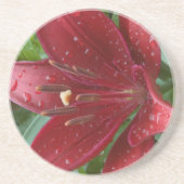 赤アジアのユリ コースター (正面)