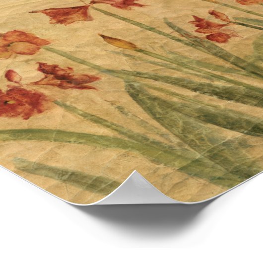 赤アマリリスの列 ポスター (角)