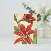 赤アマリリスクリスマスフラワーボタニカル シーズンポストカード (スタンド正面)