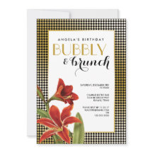 赤アマリリス花チェック金ゴールド