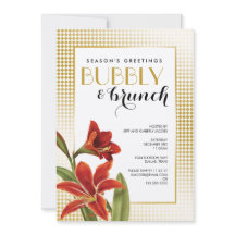 赤アマリリス花チェック金ゴールド