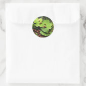 赤アリ ラウンドシール (バッグ)