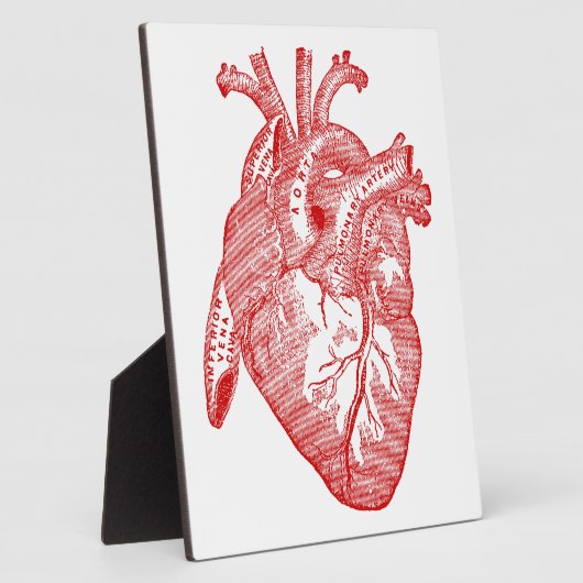 赤アンティーク解剖学的ハート フォトプラーク (側面)