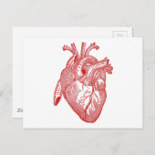 赤アンティーク解剖学的ハート ポストカード (正面/裏面)
