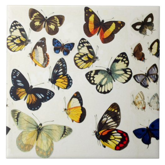 赤イエローブルーホワイト蝶美しい自然 タイル (正面)