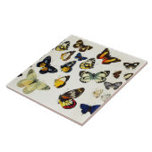 赤イエローブルーホワイト蝶美しい自然 タイル (側面)