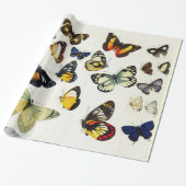 赤イエローブルーホワイト蝶美しい自然 ラッピングペーパー (アンロールド)