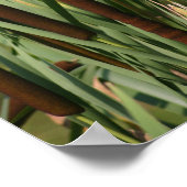 赤ウイング ポスター (角)