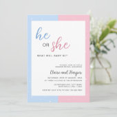 赤エレガントちゃんシャワーを明かすピンクとブルーの性別 招待状 (スタンド正面)