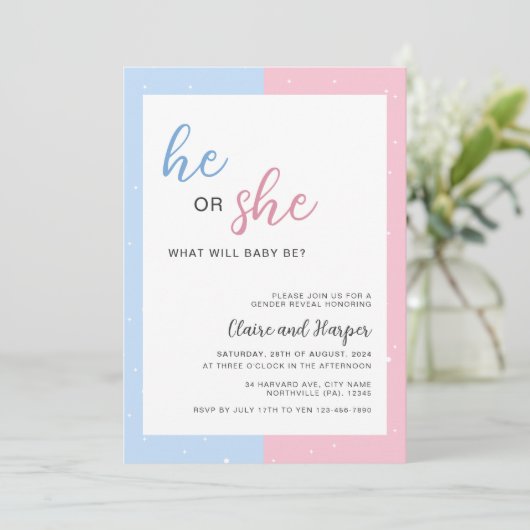 赤エレガントちゃんシャワーを明かすピンクとブルーの性別 招待状 (スタンド正面)