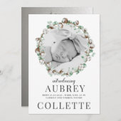 赤エレガントちゃん2写真誕生のお知らせ (正面/裏面)