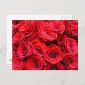 赤エレガントフローラ花バラ ポストカード (正面/裏面)
